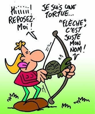 Lancement des licences découvertes 2026