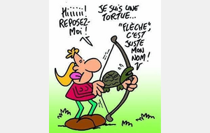 Lancement des licences découvertes 2026